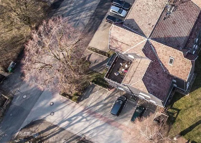 Harzzwerg * Браунлаге